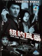 紐約風(fēng)暴劇情介紹(1-20全集)