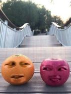 水果會(huì)說話劇情介紹(1-33全集)