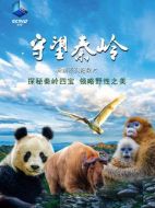 守望秦嶺劇情介紹(1-全集)