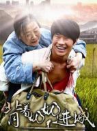 背著奶奶進(jìn)城劇情介紹(1-36全集)