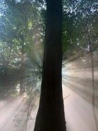 黑暗物質(zhì)三部曲第二季劇情介紹(1-8全集)