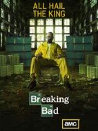 絕命毒師第五季劇情介紹(1-16全集)