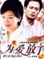 錯(cuò)愛2劇情介紹(1-26全集)