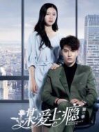 謀愛上癮第一季劇情介紹(1-12全集)