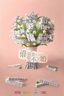 誰(shuí)說(shuō)我結(jié)不了婚劇情介紹(1-40全集)