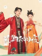 花朝秋月夜 越南語(yǔ)版劇情介紹(1-24全集)