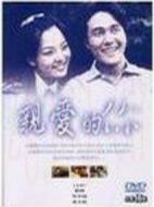 親愛的你劇情介紹(1-16全集)