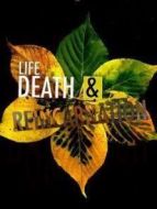 生死與輪回劇情介紹(1-4全集)