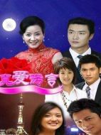 真愛諾言劇情介紹(1-45全集)