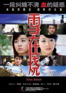 雪在燒劇情介紹(1-32全集)