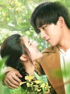 青囊傳劇情介紹(1-36全集)