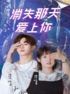 消失那天愛上你劇情介紹(1-12全集)