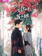 站住！花小姐 越南語版