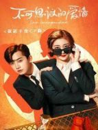 不可思議的愛情 議諾千金CP版劇情介紹(1-13全集)