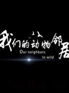 我們的動物鄰居