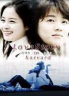 哈佛愛情故事劇情介紹(1-16全集)