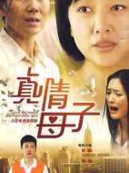 真情母子劇情介紹(1-40全集)