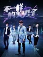 不一樣的美男子 DVD版