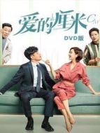 愛的厘米 DVD版劇情介紹(1-46全集)