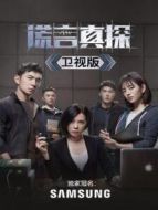 謊言真探 衛(wèi)視版劇情介紹(1-16全集)