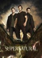 邪惡力量第6季劇情介紹(1-22全集)