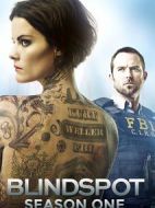 盲點(diǎn)第一季劇情介紹(1-23全集)