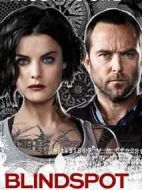 盲點第二季劇情介紹(1-22全集)