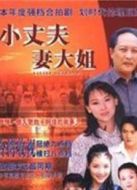 小丈夫（1999版）劇情介紹(1-40全集)
