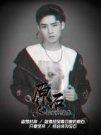 原石劇情介紹(1-全集)