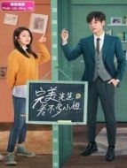 完美先生和差不多小姐 越南語版