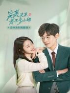 完美先生和差不多小姐 念書夫婦寵愛版劇情介紹(1-15全集)