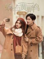 蝸牛與黃鸝鳥 DVD版劇情介紹(1-50全集)