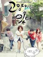 貓來(lái)了！喵劇情介紹(1-120全集)