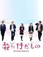 花予野獸第二季劇情介紹(1-5全集)