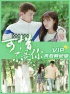 可惜不是你 VIP青春典藏版劇情介紹(1-12全集)