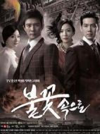 到火花中去劇情介紹(1-20全集)