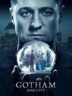 哥譚鎮(zhèn)第3季