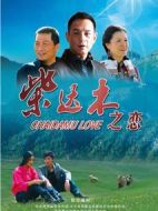 柴達(dá)木之戀劇情介紹(1-20全集)