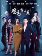 雞毛飛上天DVD版