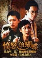 憤怒的蝴蝶劇情介紹(1-21全集)