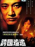 跨國(guó)追逃劇情介紹(1-23全集)