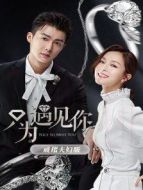 只為遇見(jiàn)你 戒指夫婦版劇情介紹(1-24全集)