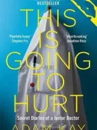 棄業(yè)醫(yī)生日志