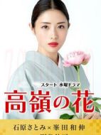 高嶺之花劇情介紹(1-10全集)