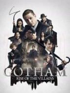 哥譚鎮(zhèn) 第二季劇情介紹(1-22全集)