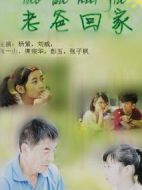 老爸回家劇情介紹(1-35全集)