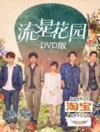 流星花園 DVD版