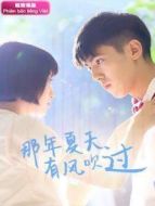 那年夏天有風(fēng)吹過 越南語版