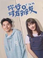 你好，對(duì)方辯友 越南語(yǔ)版劇情介紹(1-30全集)
