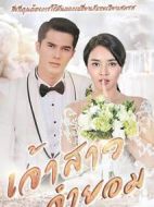 不情愿的新娘劇情介紹(1-15全集)
